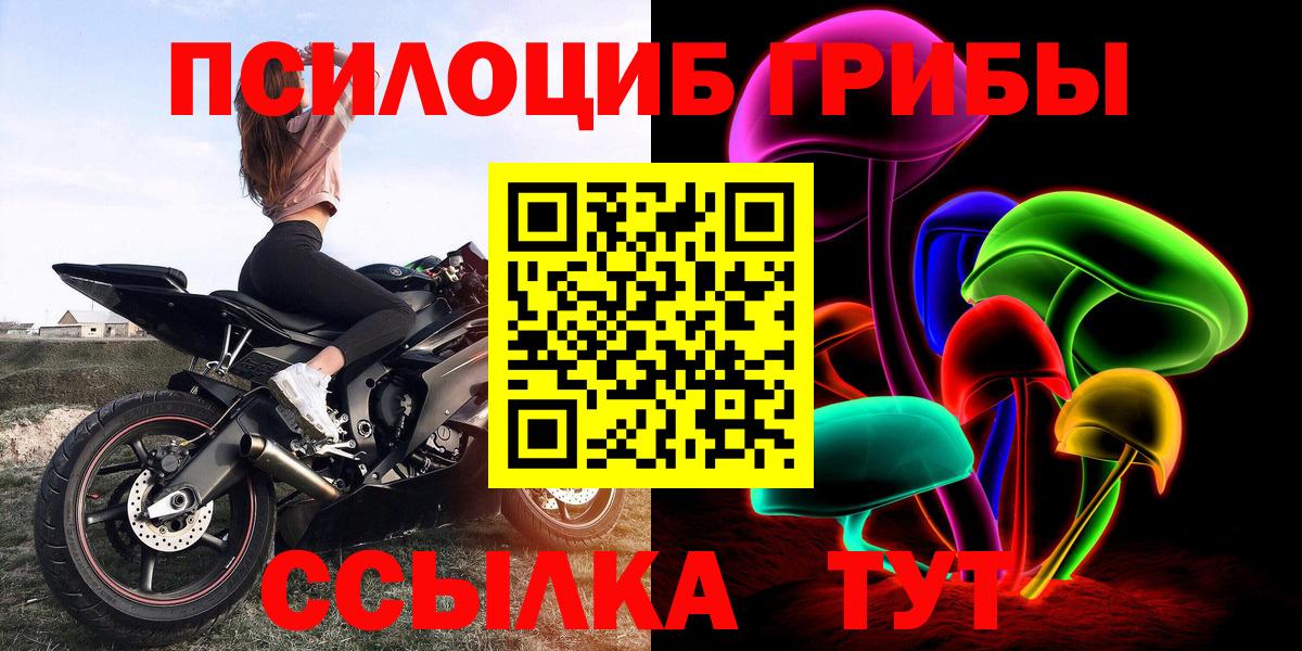 Псилоцибиновые грибы Cubensis Сальск