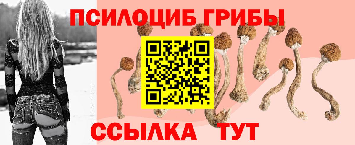 даркнет сайт  Галлюциногенные грибы мицелий  Вход с VPN  Сальск 
